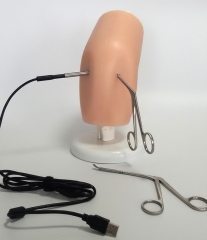 Simulateur pour arthroscope, modèle au genou