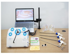 Formation sur simulateur laparoscopique à 3 styles