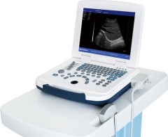 Scanner à ultrasons pour ordinateur portable noir et blanc