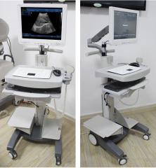 Scanner d'ultrason de chariot à écran tactile de 15 pouces avec des fonctions 3D