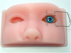 Microsurgery training simulator of ophthalmology, Microscope,instruments and Silicone facial model