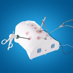 simulateur laparoscopique prothétique