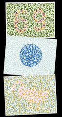 Diagramme de Ishihara