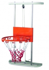 Rehab Basketball Hoop