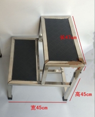 Double marchepied en acier inoxydable
