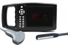 Détecteur portable à ultrasons B rectal + réseau convexe