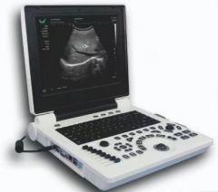 Scanner à ultrasons portable (logiciel 3D)