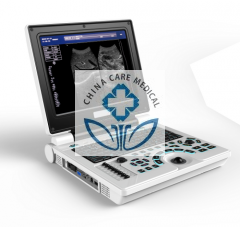 Scanner à ultrasons portable B&W